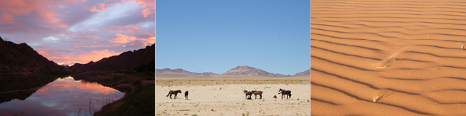 Discover the Desert