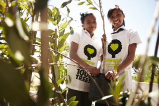 Greening Project